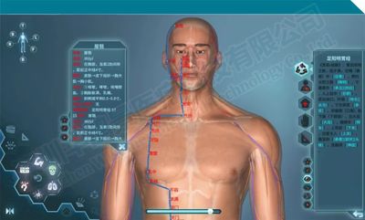 中醫(yī)針灸虛擬仿真教學系統(tǒng)