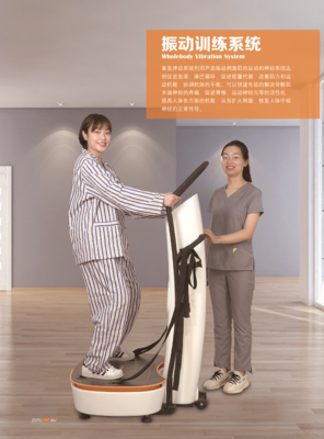 振動(dòng)訓(xùn)練系統(tǒng) ZEPU ZD-1/3/5/6